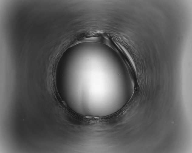 X0000088671345200706071451