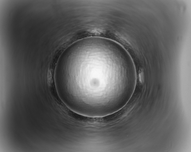 X0000088671347200706071451
