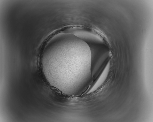 X0000088671352200706071451