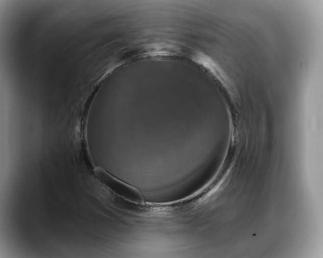 X0000088671353200706071451