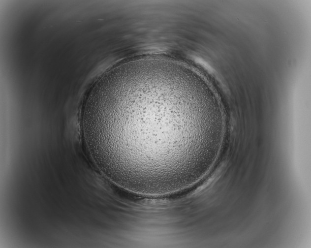 X0000088671354200706071451