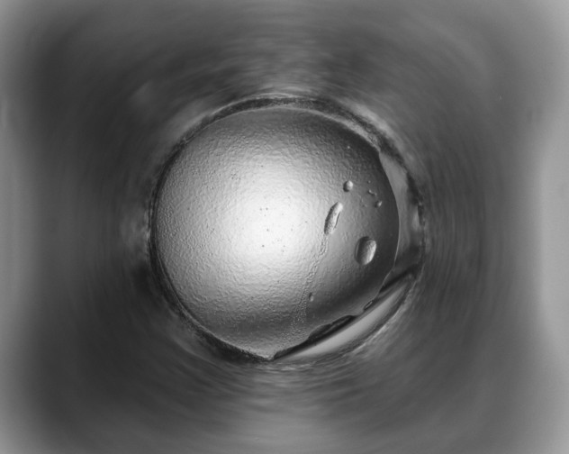 X0000088671355200706071451