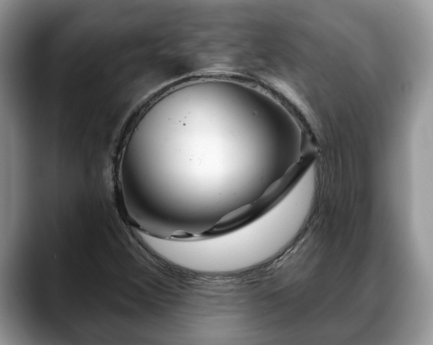 X0000088671356200706071451