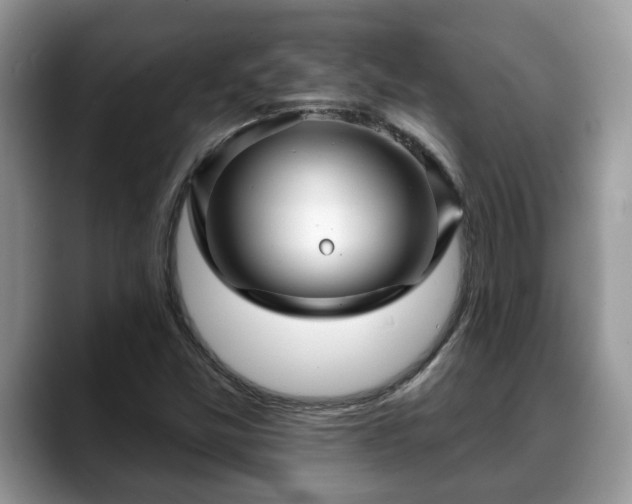 X0000088671357200706071451