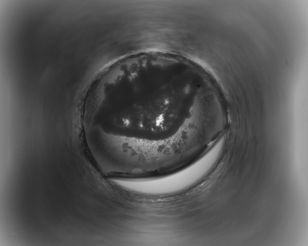 X0000088671359200706071451