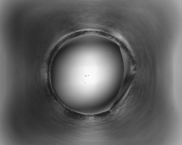X0000088671360200706071451