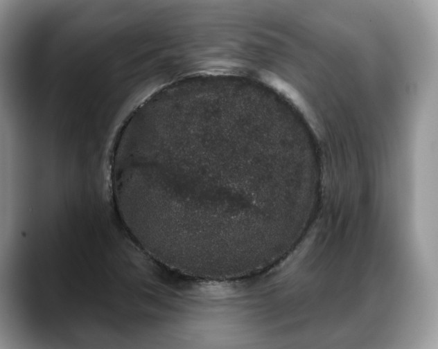 X0000088671362200706071451