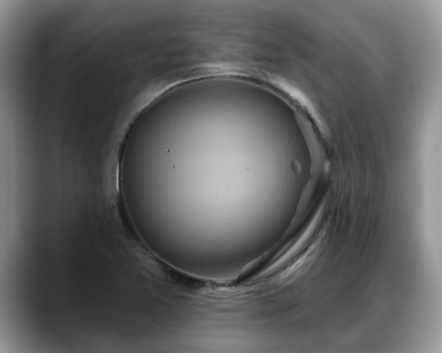 X0000088671365200706071451