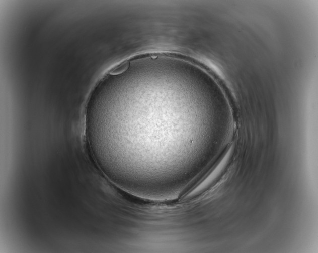 X0000088671366200706071451