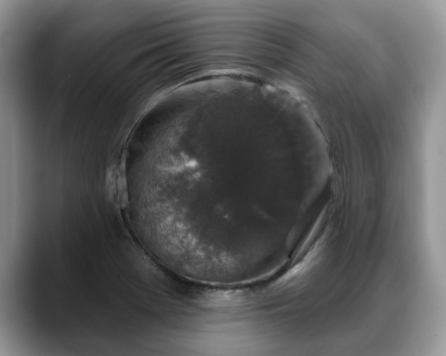 X0000088671369200706071451