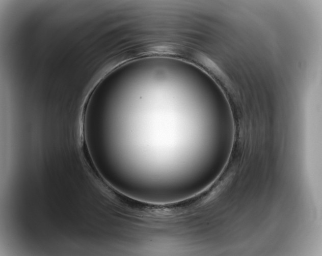 X0000088671370200706071451