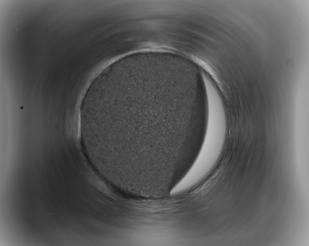 X0000088671371200706071451