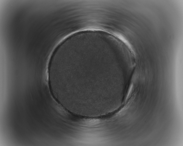 X0000088671372200706071451