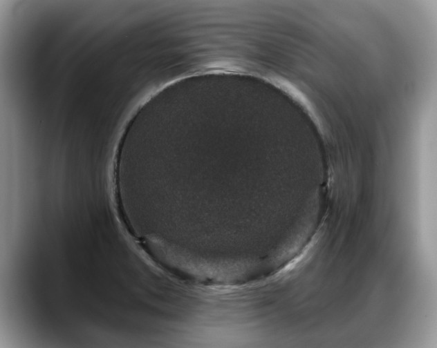 X0000088671373200706071451