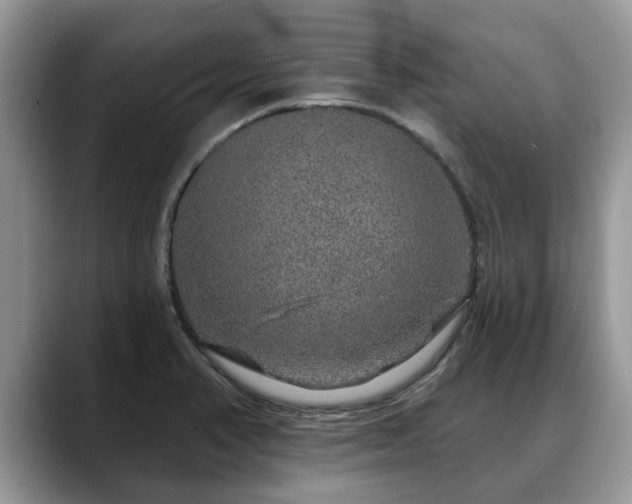X0000088671374200706071451