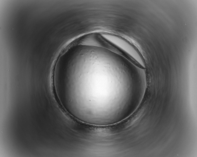X0000088671375200706071451