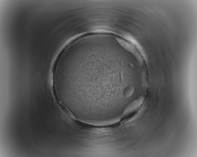 X0000088671376200706071451