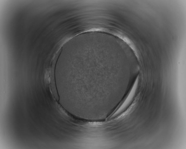 X0000088671377200706071451