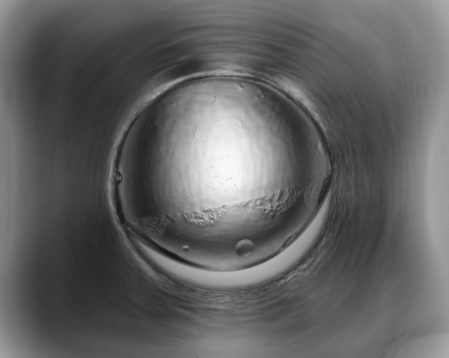 X0000088671379200706071451