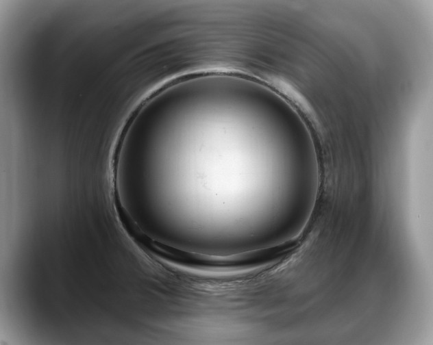 X0000088671380200706071451