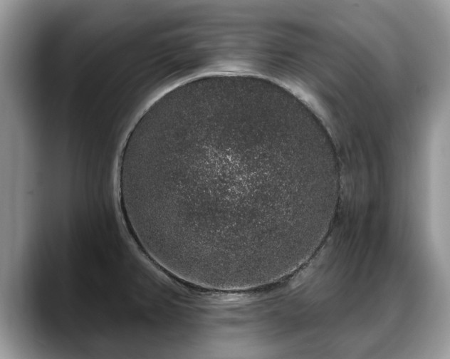 X0000088671382200706071451