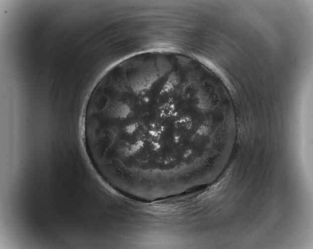 X0000088671383200706071451