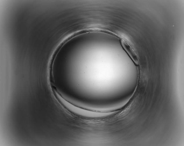 X0000088671384200706071451
