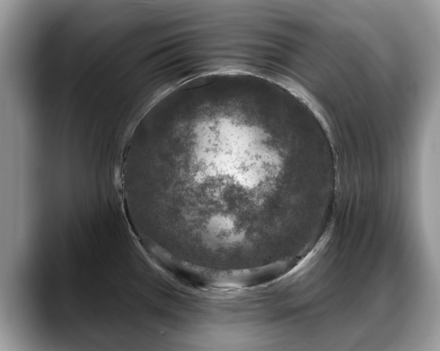 X0000088671385200706071451