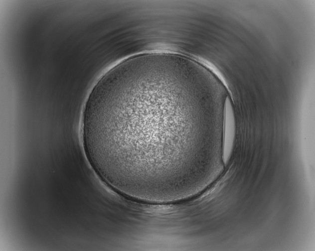 X0000088671387200706071451