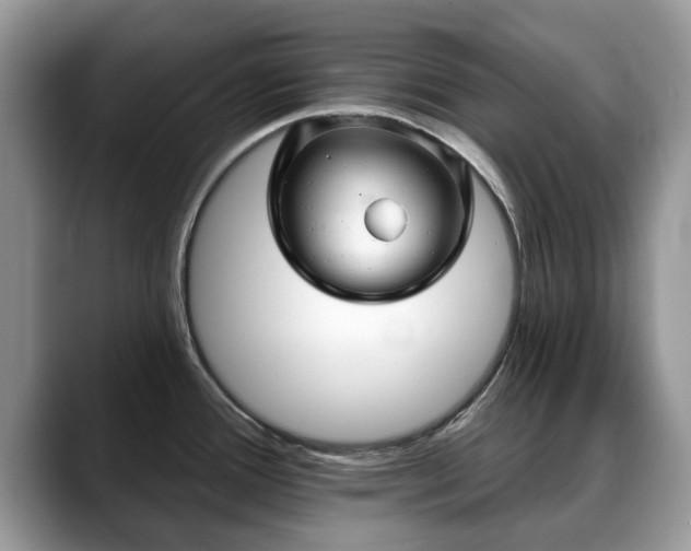 X0000088671388200706071451