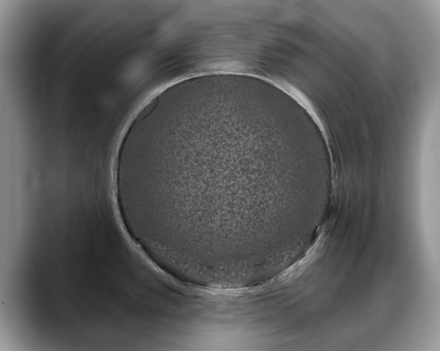 X0000088671389200706071451