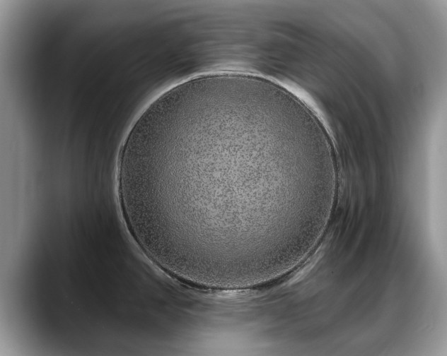 X0000088671390200706071451