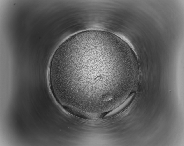 X0000088671391200706071451