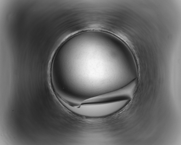 X0000088671392200706071451