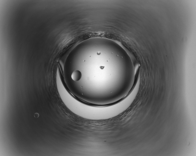 X0000088671394200706071450