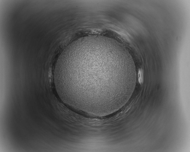X0000088671395200706071450