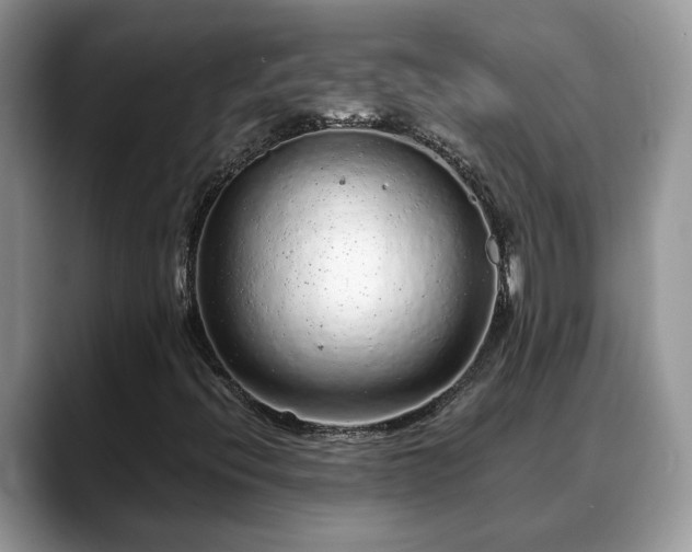 X0000088671396200706071450