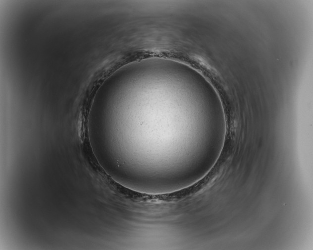 X0000088671398200706071450