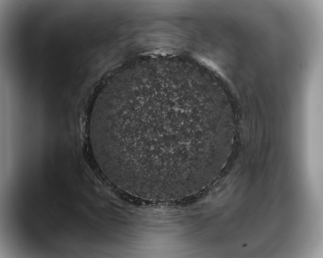 X0000088671399200706071450