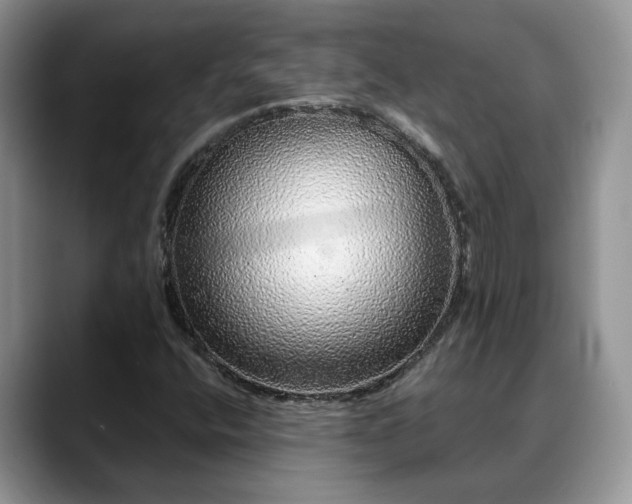 X0000088671400200706071450
