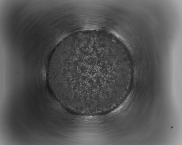 X0000088671401200706071450