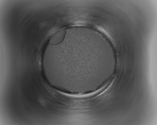 X0000088671403200706071450