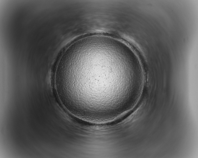 X0000088671404200706071450