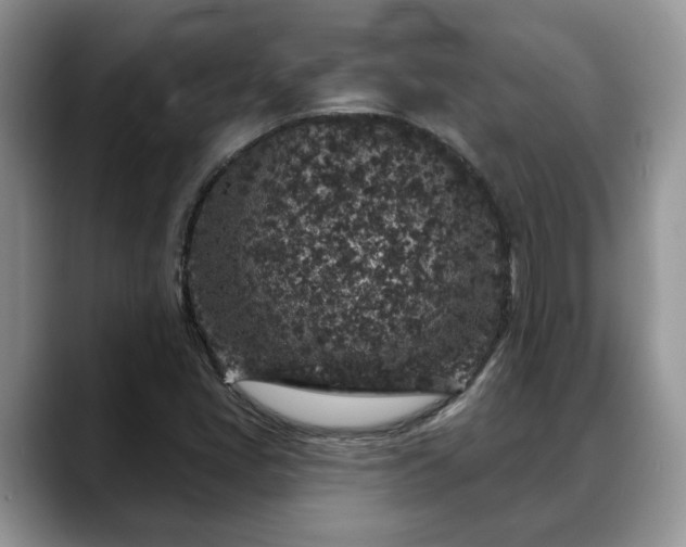 X0000088671405200706071450
