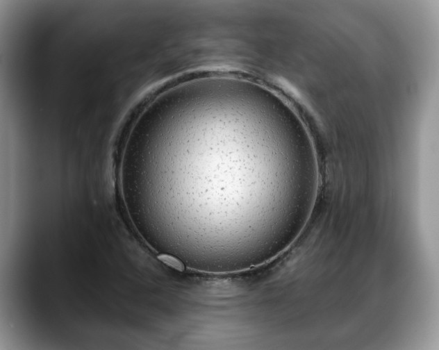 X0000088671408200706071450