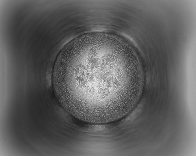 X0000088671409200706071450