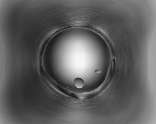 X0000088671410200706071450