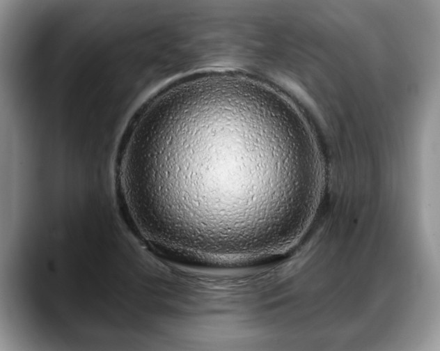 X0000088671412200706071450