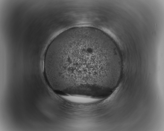 X0000088671413200706071450