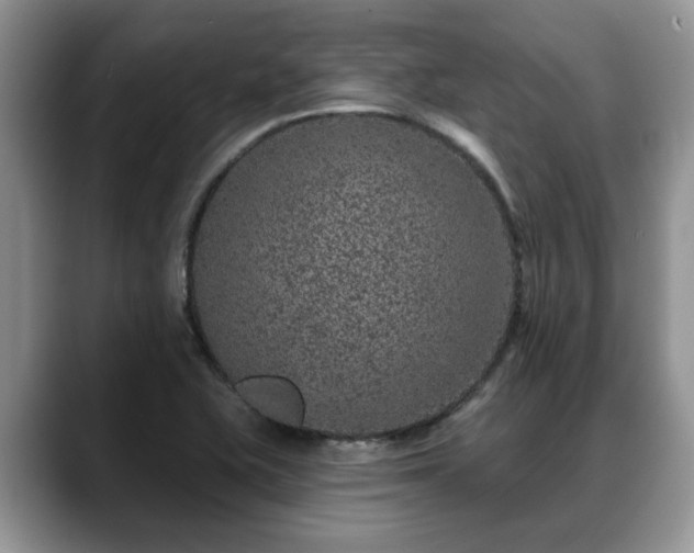 X0000088671415200706071450